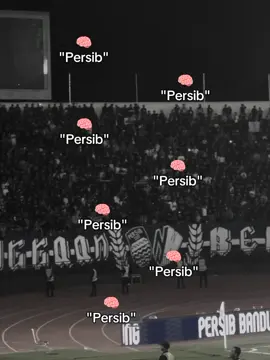cinta yang sesungguhnya 💙@persib #persibjuara🤲💙🐯 #bobotohpersib1933 #persib #northernwall20 