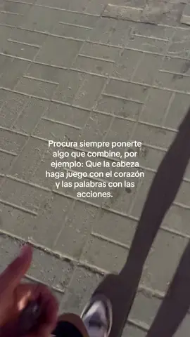 🦖🍂 #jairmonsefu #parati #foryou 