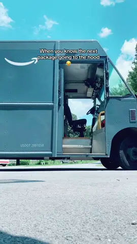 #amazon #amazondelivery #amazondeliverydriver #fyp #lol #justjokes #comedy #hood #viral #trending 