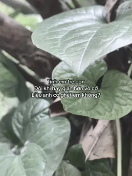 Liệu anh có ghet ?#tamtrang 