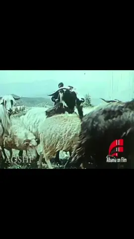 Fragmenti fjalimit të mendimtarit, teologut dhe politikanit Fan Noli. Fjalim i mbajtur në takimin e shoqërisë VATRA në SHBA në vitin 1963. Imazhet janē nga dokumentari  