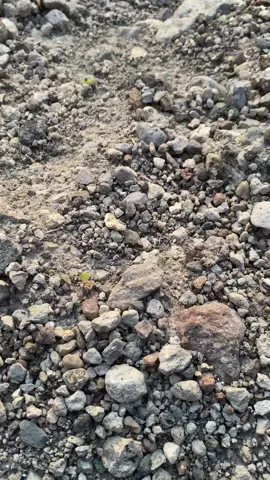 senja aja indah apalagi…..#fyp #foryou #senja #fypシ #xzyabc 