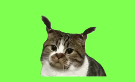 新しいヘアスタイル💇‍♀️😹🤎 #ミーム #fyp #capcut #髪型#おしゃれ#ヘアスタイル