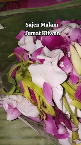 #malamjumatkliwon #jumatkliwon #jumatberkah #malamjumat #malamkeramat #keramat #bungasetaman #kembangwangi #kembangsetaman 