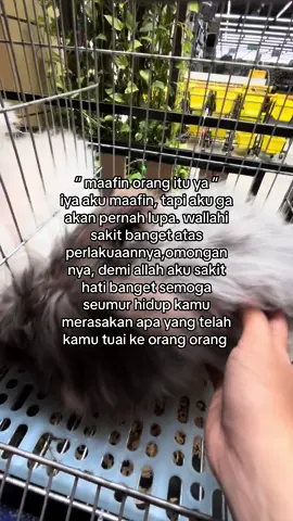 gimana ya aku juga pengen banget lupain dan berlapang dada tapi kenapa aku selalu ingat dan sakit banget  #fyp #foryou #fypシ #foryoupage #xyzbca #viral 