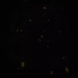 OUR Beautiful Brand Ambassador (@GinaM  ) Received  Our Free Luxurious Products from @Konains.Fashion www.konainsfashion.shop