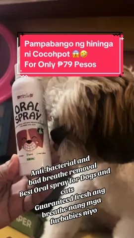 Best Oral spray for Dogs and Cats with antibacterial #fyp #dogsoftiktok #shitzu #pets #dogs #badbreathetreatment #tiktokshop #tiktokaffiliate 