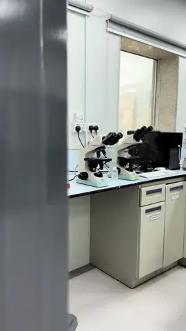 #microbiology #laboratory #fyp #foryoupage 