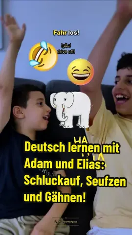 In diesem unterhaltsamen TikTok-Video lernen wir mit Adam und Elias ein paar deutsche Wörter und deren Bedeutungen. Adam hat einen Schluckauf und versucht, Elias zu erklären, was 