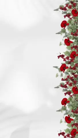 تهنئة عقد قران 🤩♥️. #تهنئة_عقد_قران_صديقتي #تصميم_عقد_قران #تصميم_تهنئة_عقد_قرآن #دعوات_الكترونيه #دعوة_عقد_قران #عقد_قران_صديقتي #اماني #اكسبلور #fyp #capcut #عقد_قران_ابنتي #عقد_قران_بنتي #فولو #fypシ #دعوة_تخرج #دعوة_زفاف #دعوة_الكترونية #دعوة_عشاء #ثيم_احمر #احمر 