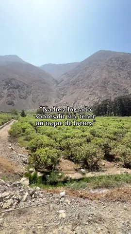 #fypシ #campo #huarochiri_perú 