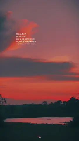 “මැයි මල් පවා…!”🌻🤍 Lyrics video (slowed)  #CapCut #fyyyyyyyyyyyyyyyy #100k #For_you #newsong #forvyou1 #fyp #fypage #fypシ゚viral #sinhalaquotes #quotes #tiktok #dropedit #pageforyou #sinhla_status_❤️💫 #trendingsong #sinhalasong #tiktoksinhala #maimal #මැයිමල්පවාඇයිදැයිඅසා❤️ #visaladare #maimalpawa #lyricsvideo #lyrics #yasasmadagedara 