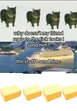 #cat#spin#cheeze#cheese#bread#meow#ship#ocean#fyp#foru#foryoupage 