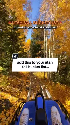 THIS MAY BE THE MOST FUN WAY TO SEE FALL COLORS IN UTAH… Mountain coasters in Utah are extra fun to visit in the fall because they combine a sweet little thrill of a roller coaster with the beauty of the autumn season  UTAH FALL COLORS | THINGS TO DO IN UTAH IN THE FALL #utah #utahcheck #falltravel #fall #autumnvibes #beautifuldestinations #autumnleaves 