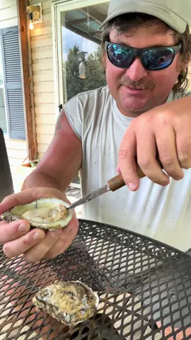 #oysters #oyster #seafood #freshseafood #fresh #salty #saltyaf #yummy #raw #rawoysters #delicious #farmraised #fypage #fypシ゚viral #shuckingoysters #shucked 