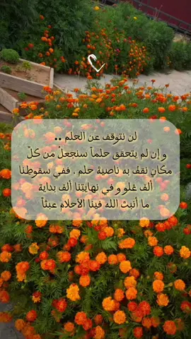 خيارُنا الأمل 🦋 #CapCut #fyp #viral #explore #fouryou #tiktok #trend #ترند #تصميمي #تيك_توك #اكسبلور #أمل 