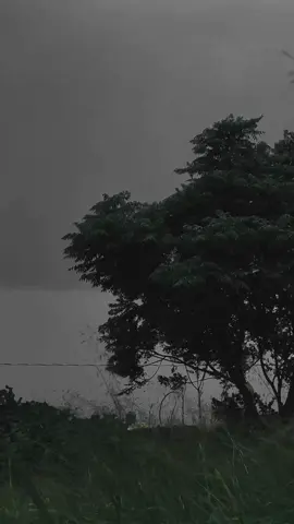 Como te sientes hoy? . . . . #shotoniphone #diasnublados #cloudyday #videostristes #lluvia #paisaje #landscape #sadvibes🥀 #chillvibes #naturaleza #naturalezaporelmundo #naturelover #🍂 #🌿 #🍃#nature #diaslluviosos #🌧️ 