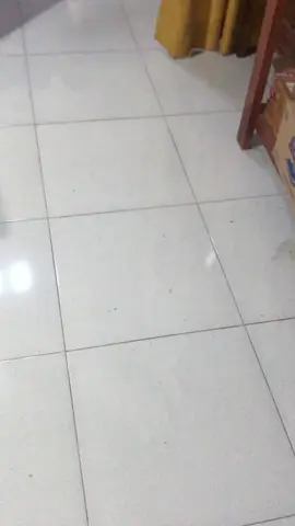 🫵🏼🤪 #kzrrexxy⚡️ #vario125old #variokzr #kzrgank #fypp 