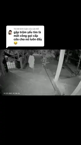 Trả lời @Lân Đỗ cách cài đặt âm thanh ghi âm vào camera hãng yoosee lưu ý chức năng cảnh bảo của yoosee chó mèo chuột bọ gì nó củng báo #thotantam #camera #chongtrom 