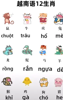 Học 12 con giáp cùng mình nha #hoctiengtrung #hoctiengtrungonline #hoctienghan #hoctiengtrungquavideo #hoctiengtrungmoingay #hocchuhan #hoctiengtrungquoc 