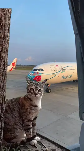 Maap meng peswat Airbus-Nya Garuda mau lewat 😅🤣 #storypenerbangan #yogyakartainternationalairport #fyp  #CapCut 