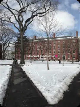 >>Harvard university<<💗 dream #tiktokbangladesh🇧🇩 #foryou #trend #viralvideo #reels__tiktok  #trend 