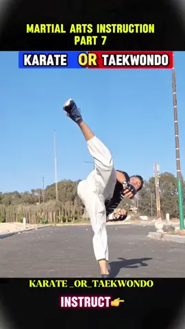 Karate vs Taekwondo 👉 #kungfu #martialarts #martialartstraining #martialartslife #defense #defensa #defensekeychain #fy #fyppppppppppppppppppppppp 