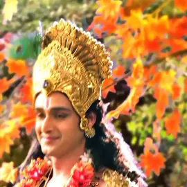 govind🦚 #krishna #mahabharata #mahabharat #saurabhrajjain #4u #fyp #foryou #fypage 