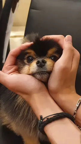 Advunched happy birthday yountan baby🎂🎂🎂🎂🎂🎂🥳🥳🥳🥳🥳🥳🥳🥳🥳🥳         #yountan #viralvideo #v #tiktokbangladesh #🇧🇩🇧🇩🇧🇩 #tiktok #btsarmy #bts #bts_official_bighit #btsarmyforever #btsxarmy #jungkook 