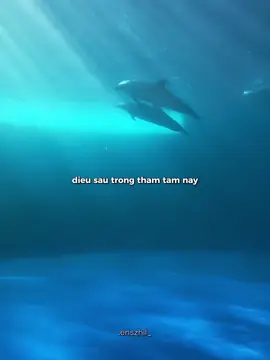 :o anh nghi em khong tiec a? #viraltiktok #lyrics #fyp #xh #khietmandong #kmd #xyzbca #story #sadstory #tamtrang #sad #xhtiktok #viral #fypシ @Én 