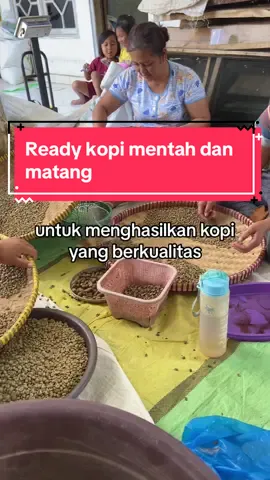 Redy biji kopi mentah ,biji kopi sangrai dan kopi bubuk ,bisa langsung cek dikeranjang kuning #kopi #kopirobusta #coffee #kopisusu #supplierkopi #coffeetiktok #coffeetime 