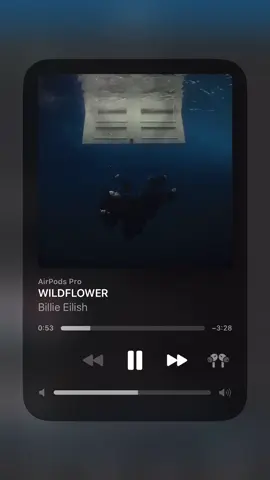 #wildflower #billieeilish #spotify 