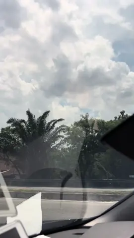 selamat datang saudaraku… 🍉🍉🖤❤️💚🤍 #tudm #🍉 #airbusa400m 