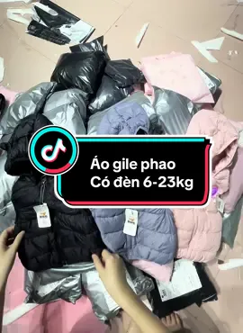 Áo gile phao hàng quảg châu trần bông siêu nhẹ, có mũ, có đèn nhấp nháy cho bé 6-24kg ##thoitrangngoclinhnhi #fashion #lamdep #mevabe #mebimsua #quanaotreem #aophao #aokhoacchobe #aophaogile 