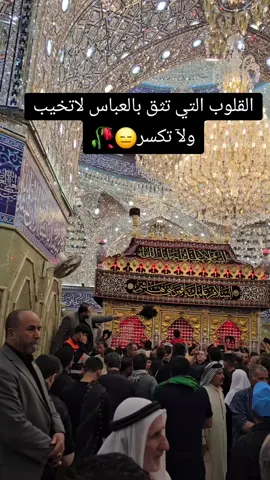 #السلام_عليك_يا_ابا_الفضل_العباس_ع #الاربعينيه_الامام_الحسين_ع #فداك_روحي_ياحسين #استوريات_حسينيه_🥺🥀😔 #CapCut 