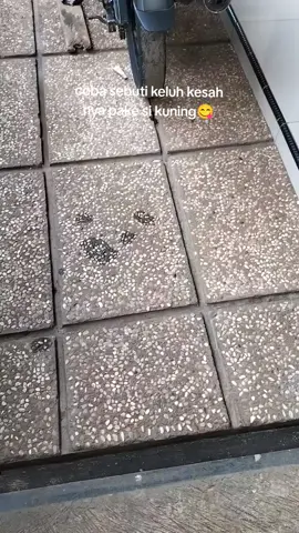 oli andalan campur rotari🤩#evalubepro #5kmkagakngejem #f1zr_indonesia #f1zrmenolakpunah 