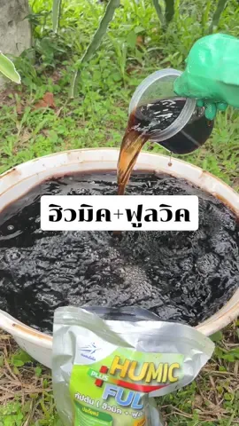 ปรับสภาพดินด้วยฮิวมิค+ฟูลวิค #โคโค่ #กัปตันโคโค่ #ฮิวมิค #ฮิวมิคพลัส #ฮิวมิคปรับสภาพดิน 