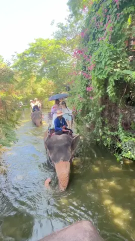 泰国🇹🇭旅游