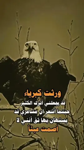 #aljanubi_22ws #ترند #تيكتوك_عرب #ترندات_تيك_توك #تيك #الشعب_الصيني_ماله_حل😂😂 