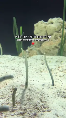 #fypシ #fypシ゚viral #laymahora  Ig:sameer_shrestha123