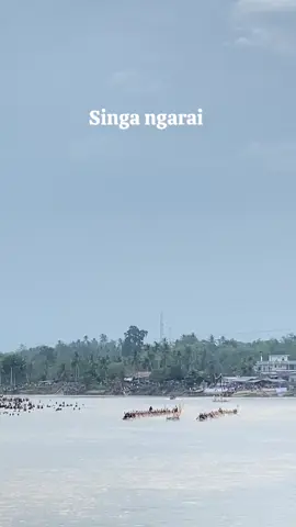 Lanjut hari final sembila tajam dari kenegrian siberakun kec benai @SINGA.NGARAI  #fyp #kuansingkotajalur #kuantanesia #pacujalurkuantansingingi #fypシ゚viral #pacujalur #fypdonggggggg 