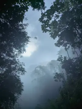 sad #ambient #sadsong #sadmusic #alone #piano #romanticmusic #romanticpianomusic #darkacademy #dark #darkaesthetic #belovedidyll #joshuakyanaalampour #morning #night #sadvibe #fypシ #fyp #fyp #fyppppppppppppppppppppppp #denrophile #nostalgia #nostalgic #cloud #fog #dew #peace #world 