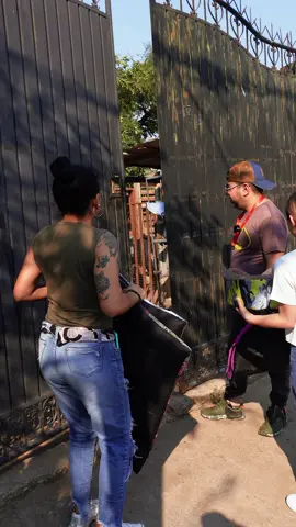 Ellos siempre están esperando una mano amiga🐾❤️‍🩹 Para donaciones o adopciones contactá con el Refugio Angelitos de Edgar @EDGAR RESCATISTA al 73107078 #refugiodeanimales #perritorescatado #pizzario #scz #bolivia 