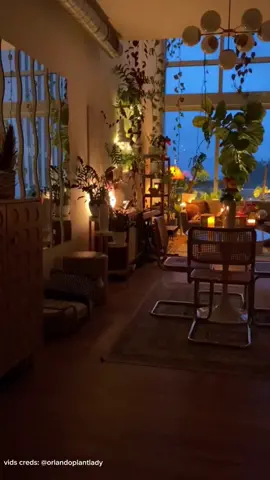 that LIGHTING! vids creds: @orlandoplantlady #cozy #livingarea #fyp #warmlighting #plantdecor #apartmentinspo #warm 