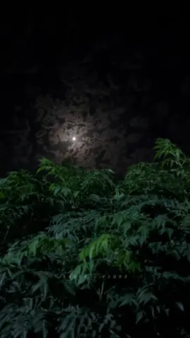 اجواء القمر هذه الليلة 🌗🤍 #sadek_youns #القمر #قمر 