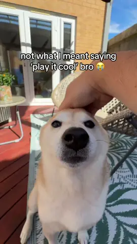 The big dawg plays it cool