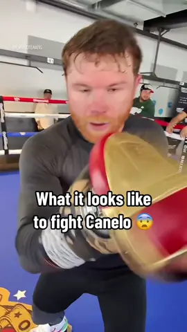 The trainer cam is 🔥 (via @CaneloTeam) #Canelo #mexico #boxeo #boxing #caneloalvarez 