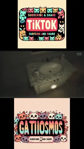 #terror #horror #gaming #real #casosmisteriosos #casosdelavidareal #parati #foryouu #fyp #fypシ #xyzbca #tiktok