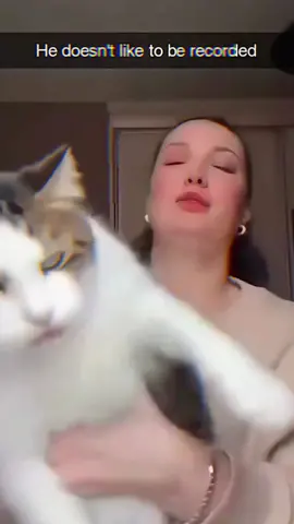 Funny animals#pet #cat #funnyvideos 