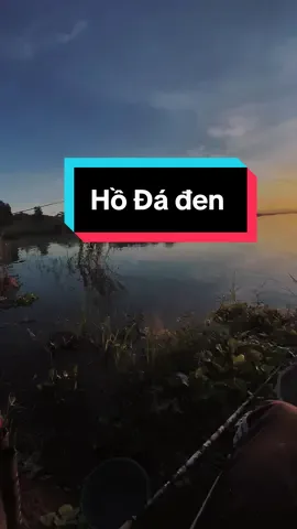 Một chút chill buổi sáng ♥️ #câucá #câu_cá #câuđài #fishing #câucagiaitri🐟🐟 #câucagiaitri #vietnamfishing #caucagiaitri🎣 #xuhuong #canhchill #tiktok #câudaifising 